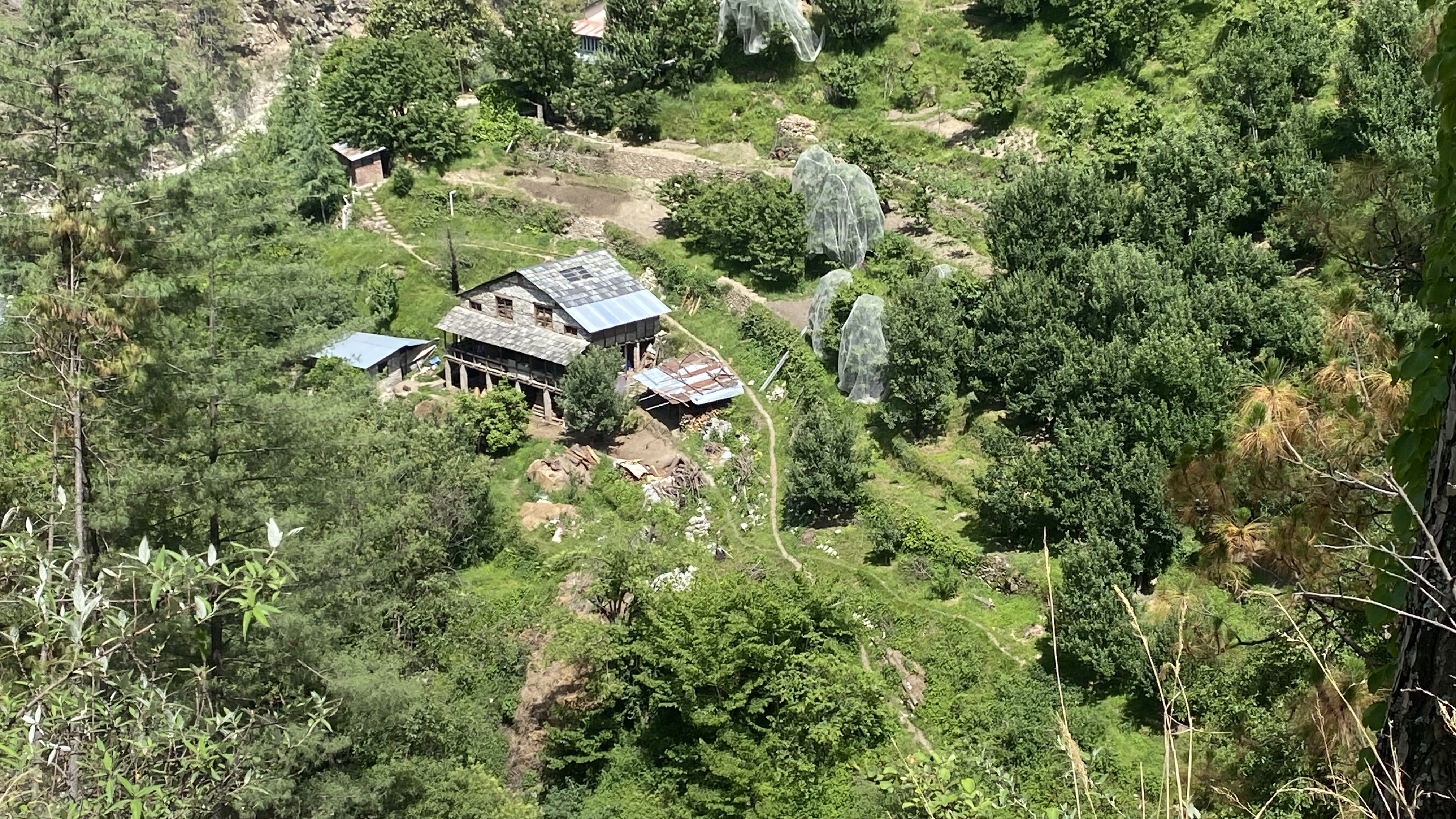 A traditional Himachali house nestled in dense green forest on a hillside in Tirthan Valley